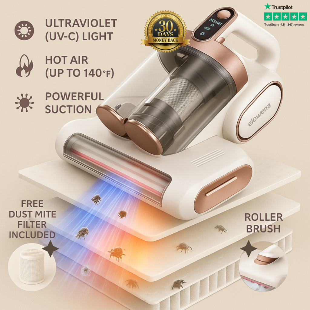Elowena Lume Vacuum